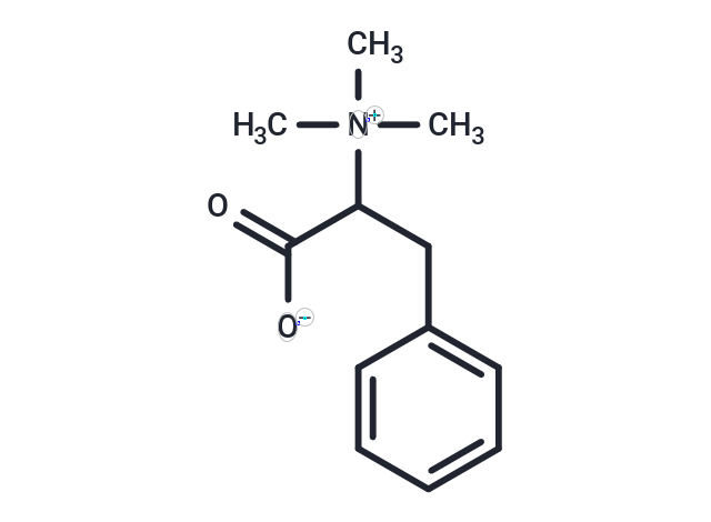 Phenylalanine N,N,N-Tri-Me betaine