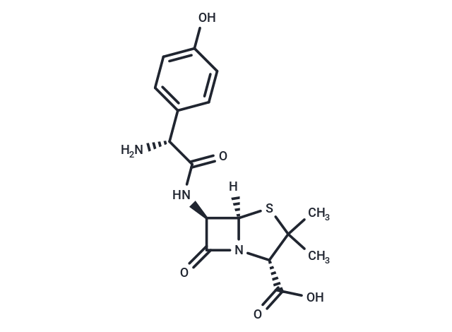 Amoxicillin