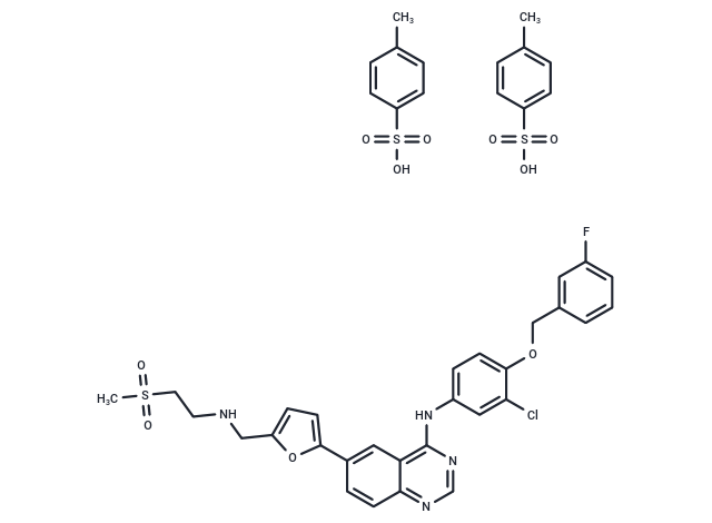 Lapatinib Ditosylate