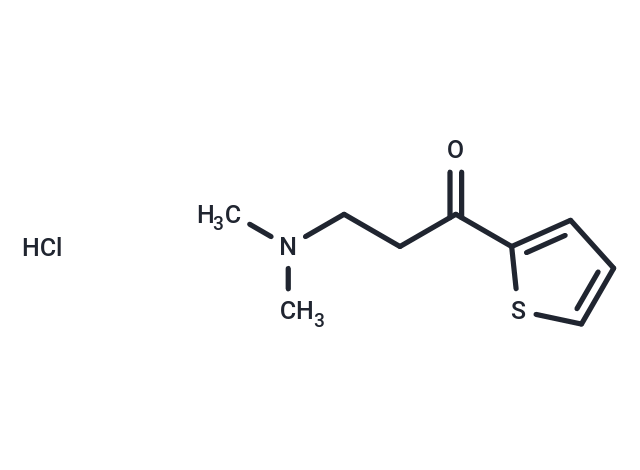 3-(dimethylamino)-1-(thiophen-2-yl)propan-1-one HCl