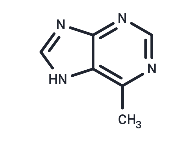 6-Methylpurine