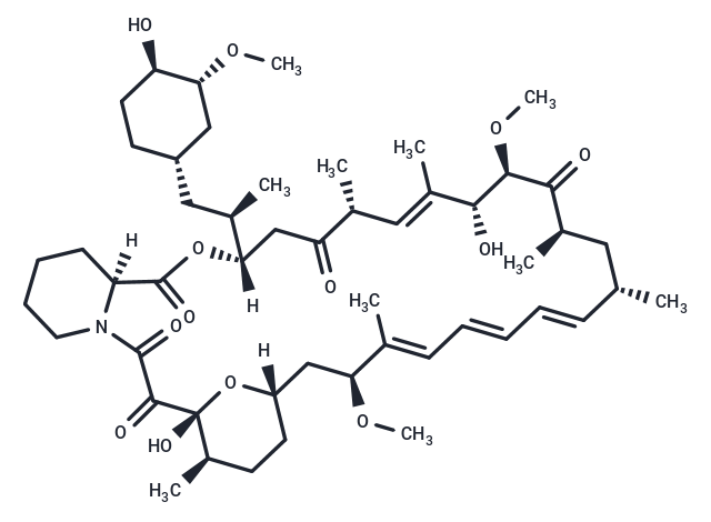 Rapamycin