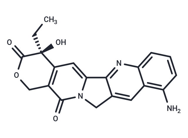 9-amino-CPT