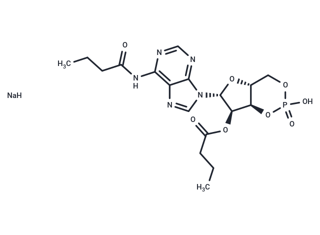 Bucladesine sodium