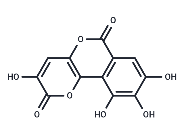 Galloflavin