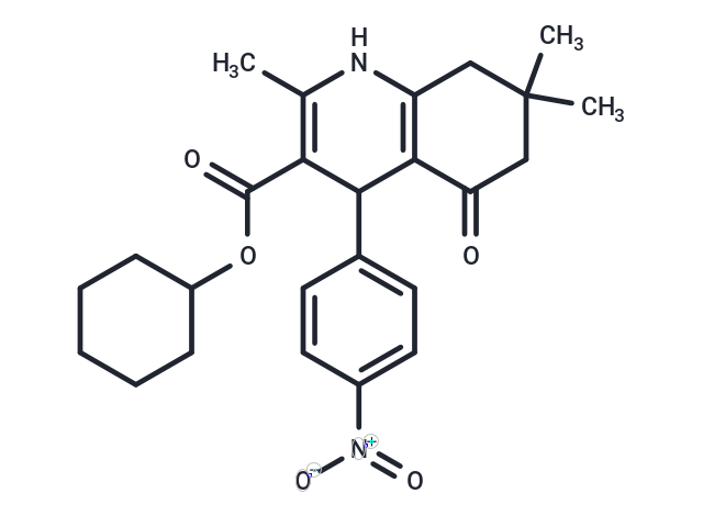 FLI-06