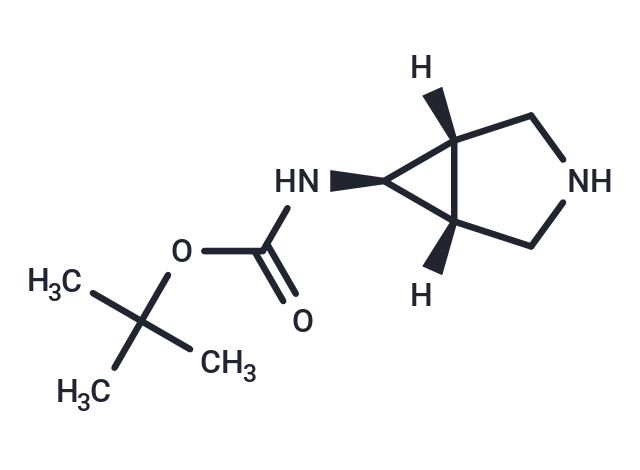 CP-101537