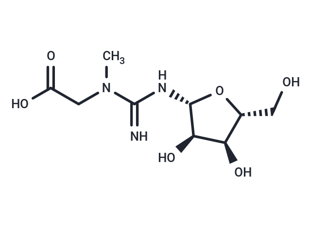 Creatine riboside