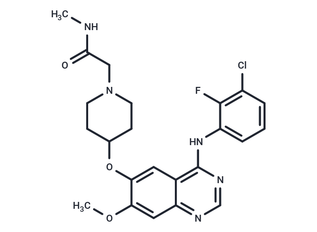 Sapitinib