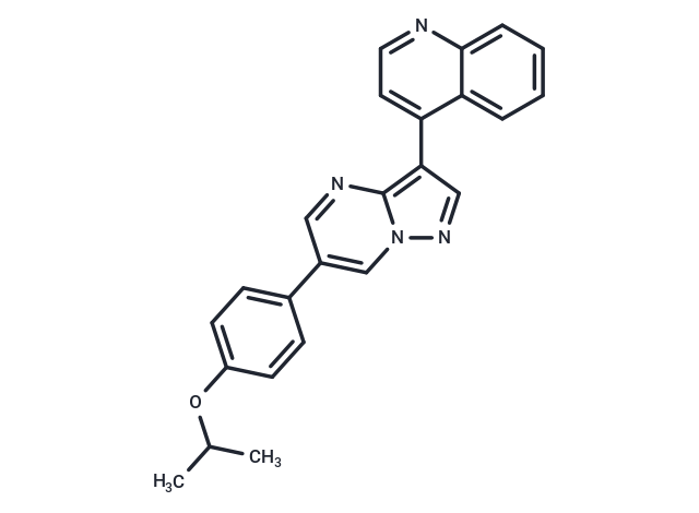 DMH-1