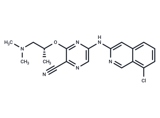 SAR-020106