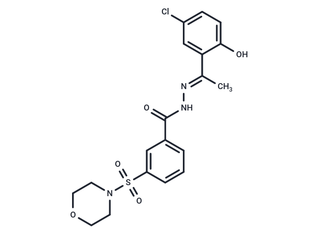 SP2509