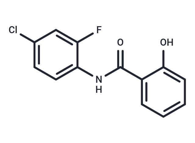 NDMC101