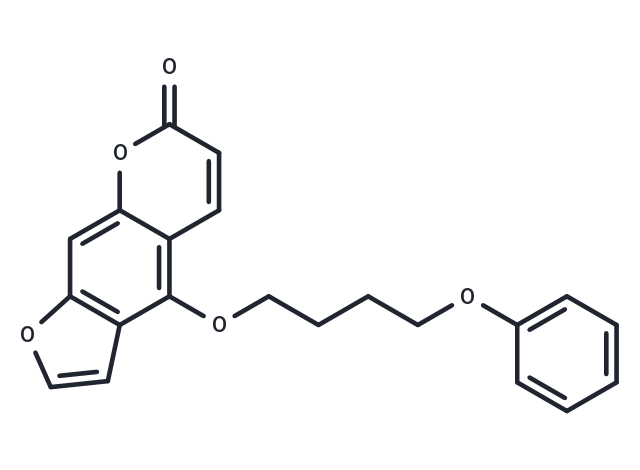 PAP-1