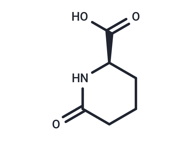 D-Pyrohomoglutamic Acid