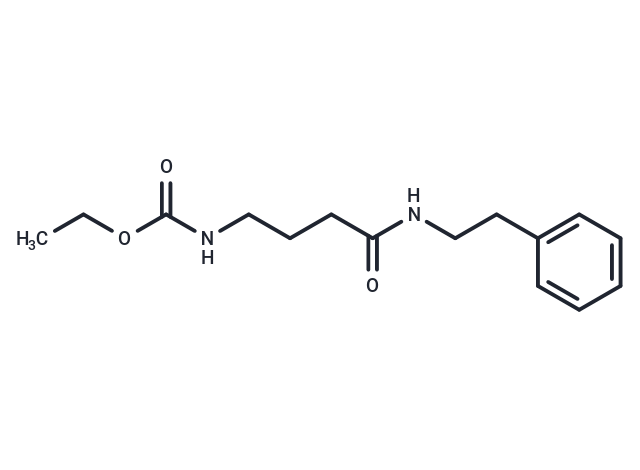 SantacruzaMate A