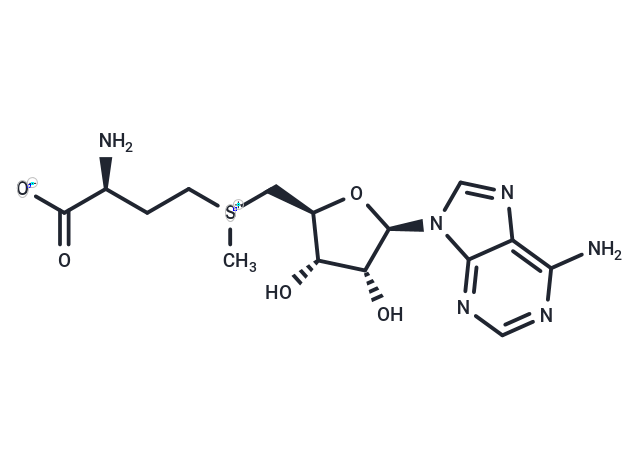 S-Adenosyl-L-methionine