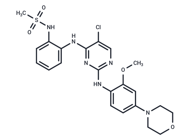 CZC-54252