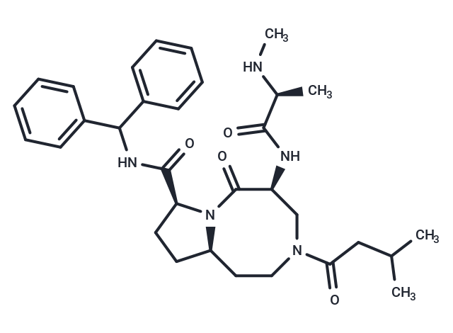 Xevinapant