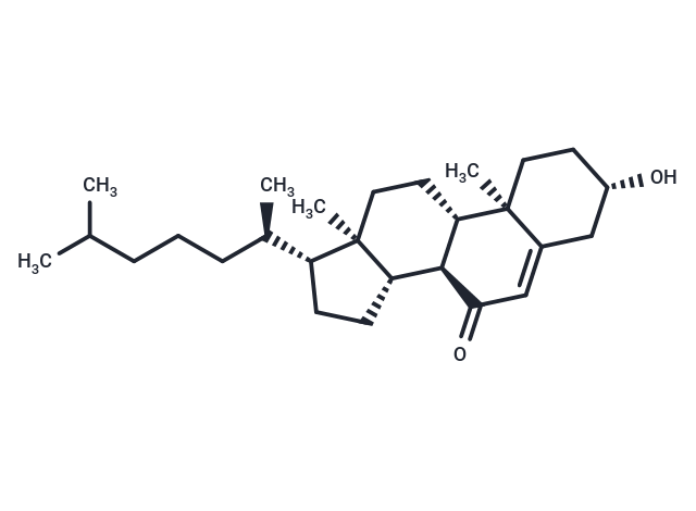 7-Ketocholesterol