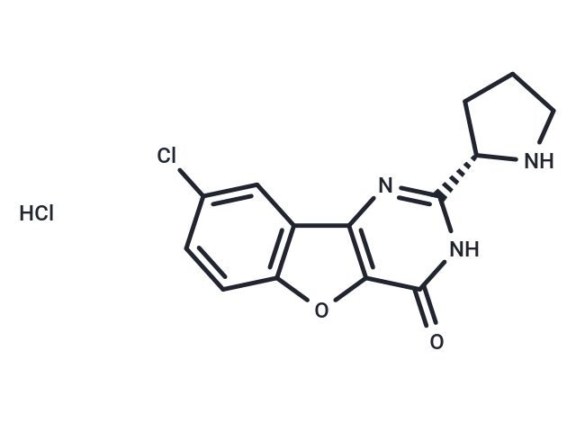 XL413 HCl