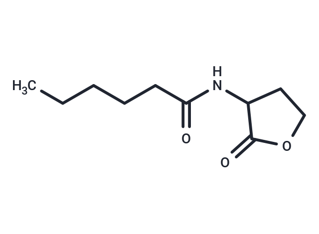 N-hexanoyl-DL-Homoserine lactone