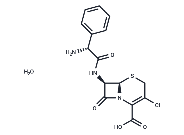 Cefaclor monohydrate