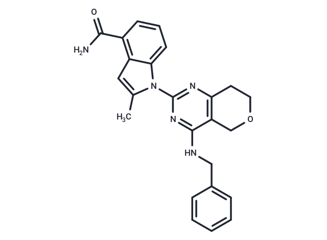 CB-5083