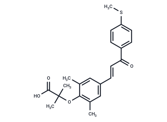 Elafibranor