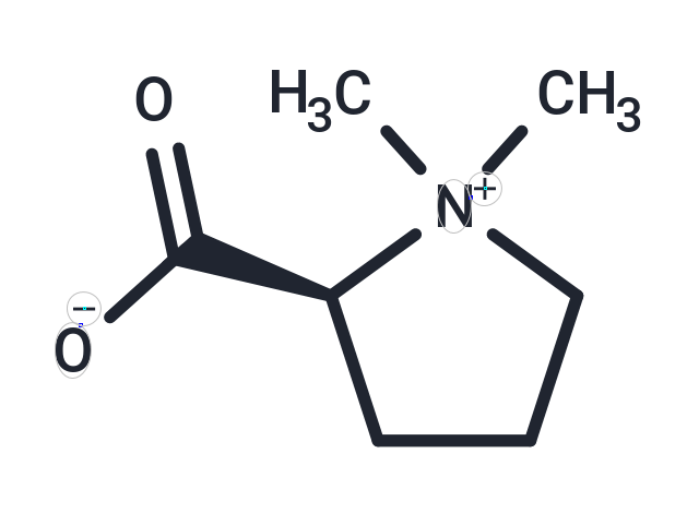 Stachydrine