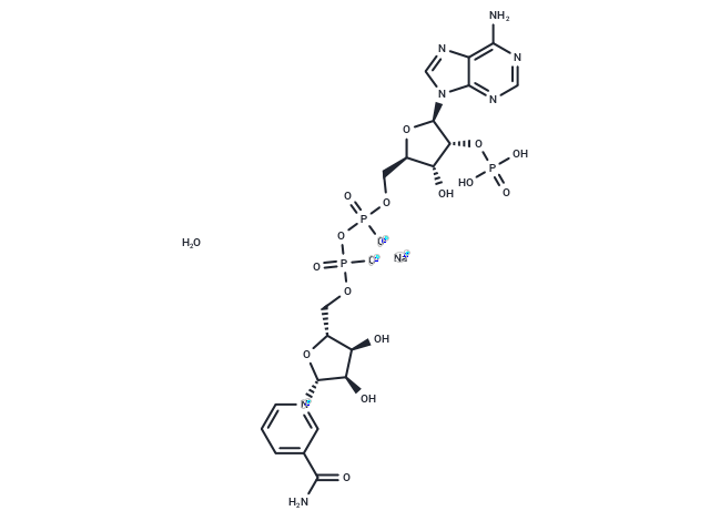 NADP+ (sodium salt hydrate)