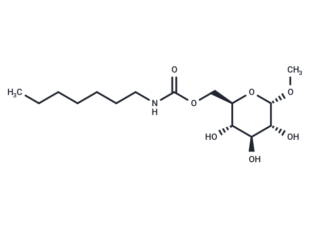 Anameg-7