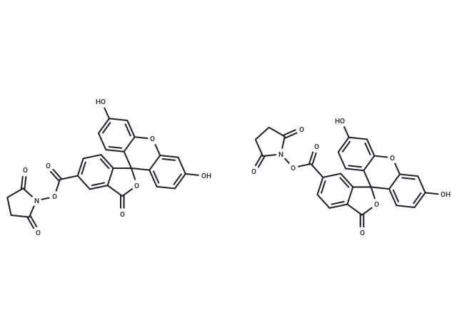 5(6)-FAM SE