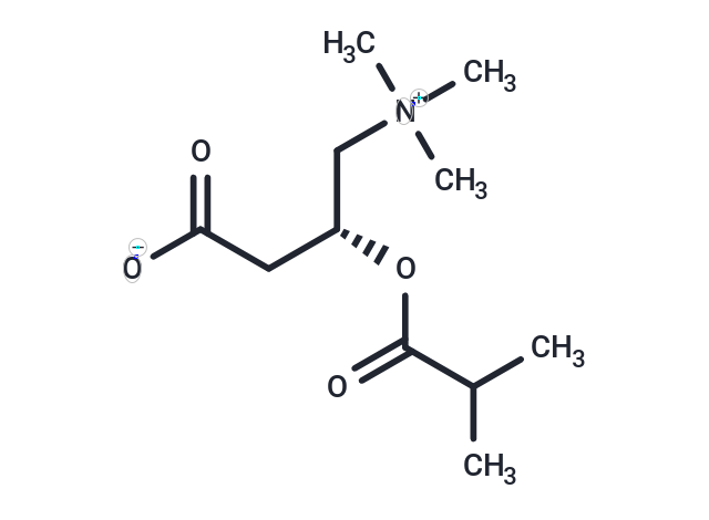 Isobutyryl-L-carnitine