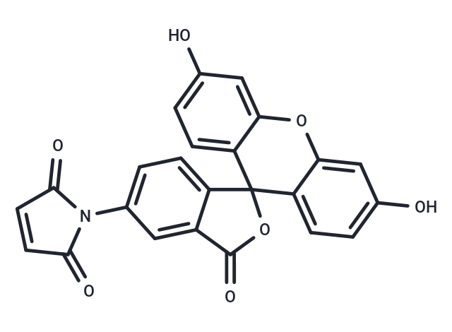 Fluorescein-5-maleimide