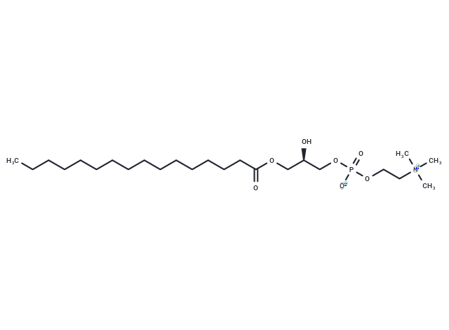 1-Palmitoyl-sn-glycero-3-phosphocholine