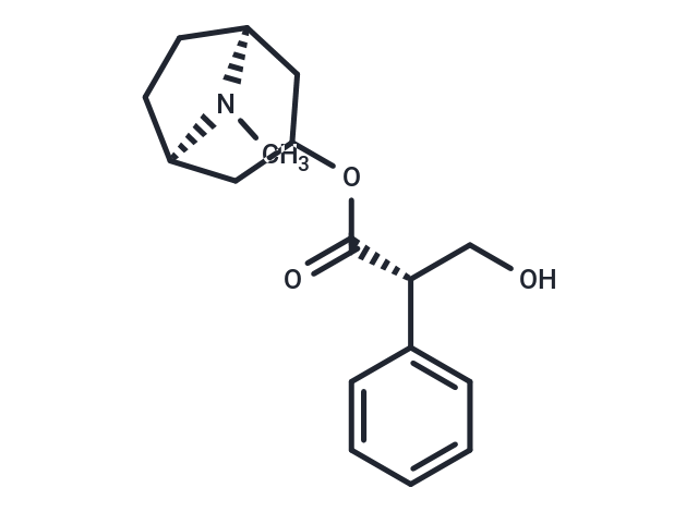 L-Hyoscyamine