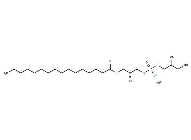 LysoFos Glycerol 16