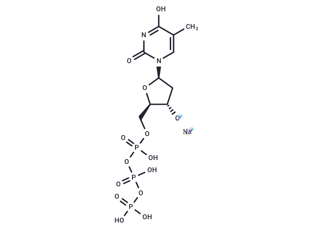 Deoxythymidine triphosphate