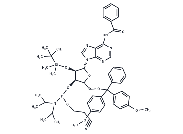 Bz-rA Phosphoramidite