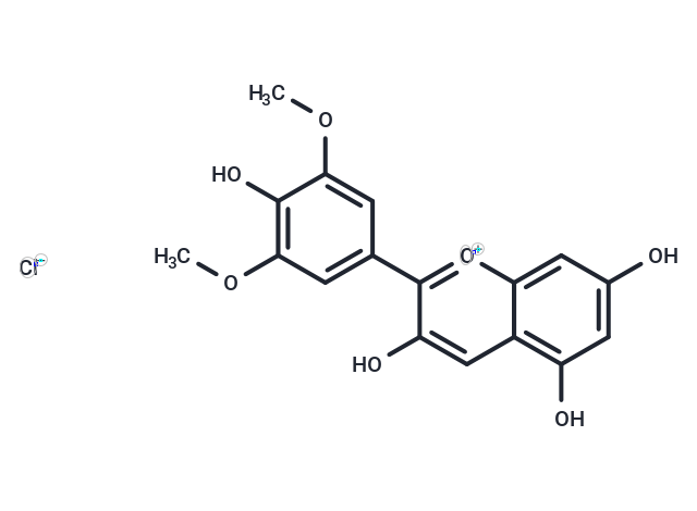 Malvidin chloride