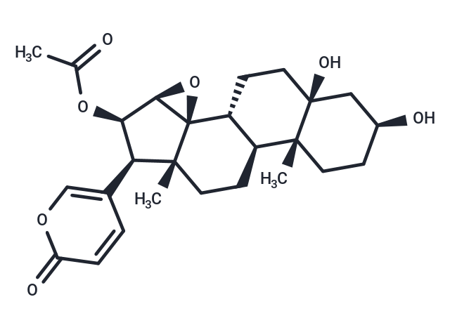 Cinobufotalin