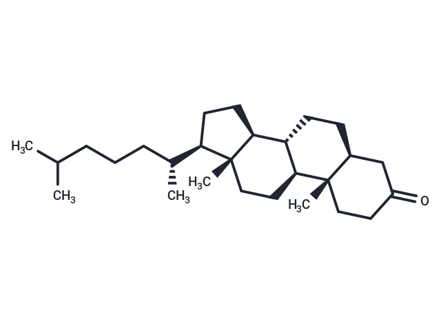 5α-Cholestan-3-one