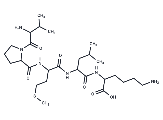 Bax inhibitor peptide V5