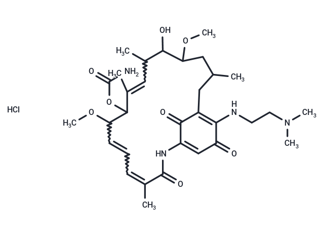 Alvespimycin hydrochloride