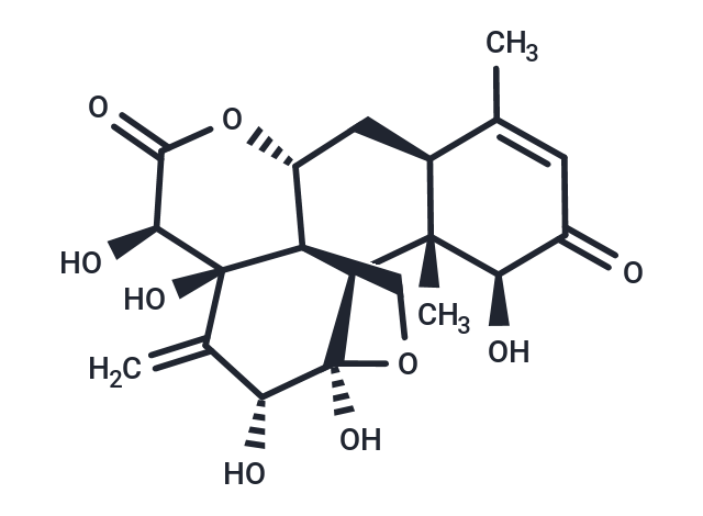 EURYCOMANONE