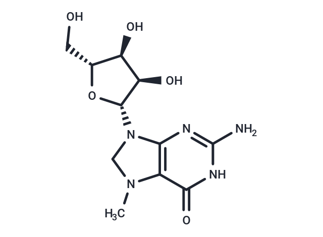 7-Methylguanosine