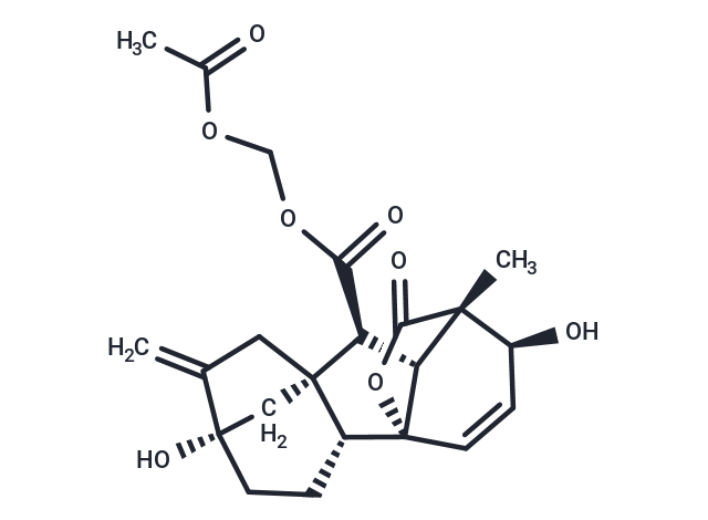 GA3-AM