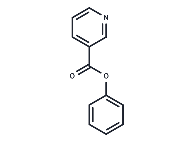 Phenyl nicotinate