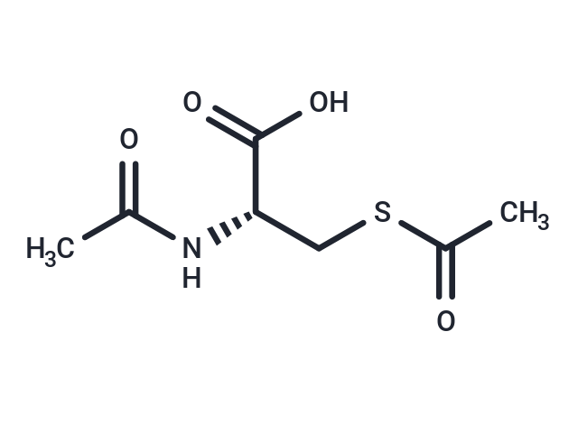 Dacisteine